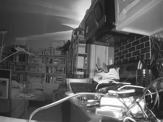 voyeurcam bridgetleewalters 02's Live Sex Cam Show
