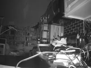 voyeurcam bridgetleewalters 02's Live Sex Cam Show