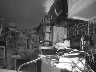 voyeurcam bridgetleewalters 02's Live Sex Cam Show