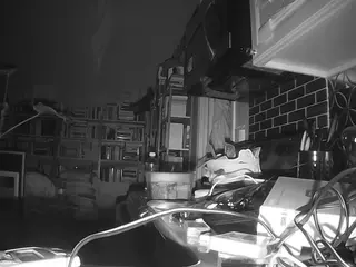 voyeurcam bridgetleewalters 02's Live Sex Cam Show