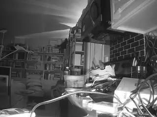 voyeurcam bridgetleewalters 02's Live Sex Cam Show