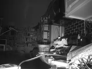 voyeurcam bridgetleewalters 02's Live Sex Cam Show