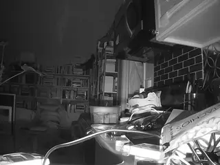 voyeurcam bridgetleewalters 02's Live Sex Cam Show