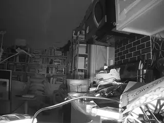 voyeurcam bridgetleewalters 02's Live Sex Cam Show