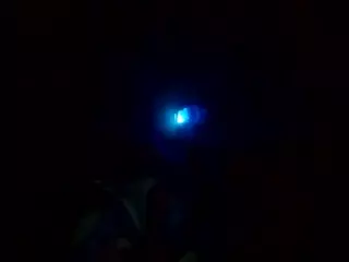 sashakorny99's Live Sex Cam Show