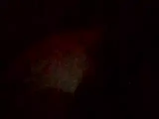 sashakorny99's Live Sex Cam Show