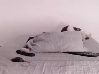 JORDAN's Live Sex Cam Show