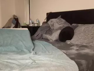 T1ger's Live Sex Cam Show