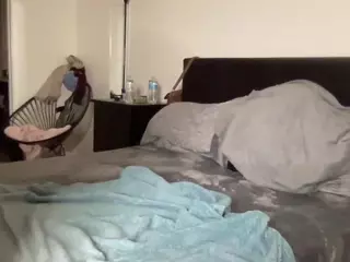 T1ger's Live Sex Cam Show