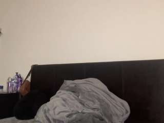 T1ger
