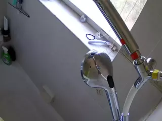 voyeurcam charleys bathroom's Live Sex Cam Show