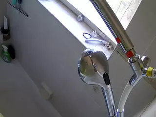 voyeurcam charleys bathroom's Live Sex Cam Show