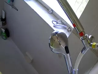 voyeurcam charleys bathroom's Live Sex Cam Show