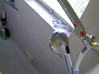 voyeurcam charleys bathroom's Live Sex Cam Show