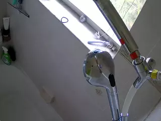 voyeurcam charleys bathroom's Live Sex Cam Show