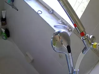 voyeurcam charleys bathroom's Live Sex Cam Show