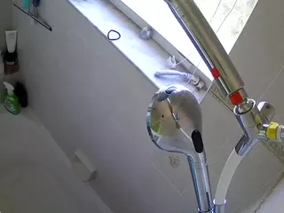 voyeurcam charleys bathroom's Live Sex Cam Show