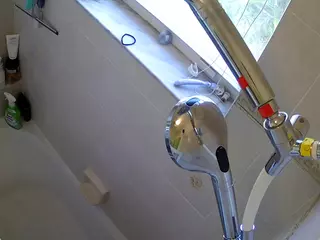 voyeurcam charleys bathroom's Live Sex Cam Show
