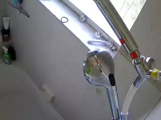 voyeurcam charleys bathroom's Live Sex Cam Show