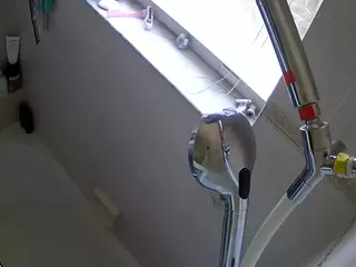 voyeurcam charleys bathroom's Live Sex Cam Show