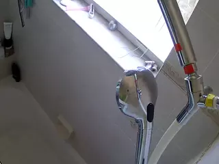 voyeurcam charleys bathroom's Live Sex Cam Show