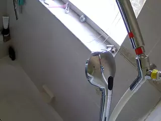 voyeurcam charleys bathroom's Live Sex Cam Show