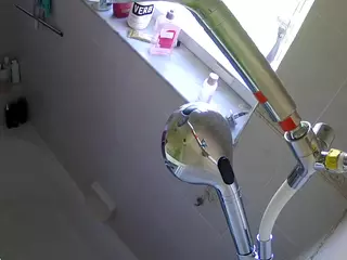 voyeurcam charleys bathroom's Live Sex Cam Show