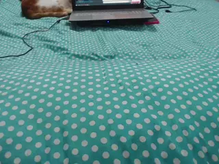 mollyandbrad's Live Sex Cam Show