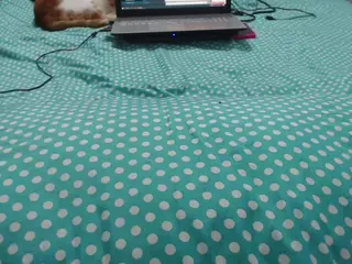 mollyandbrad's Live Sex Cam Show
