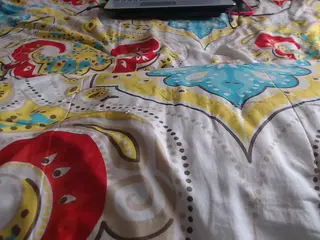 mollyandbrad's Live Sex Cam Show