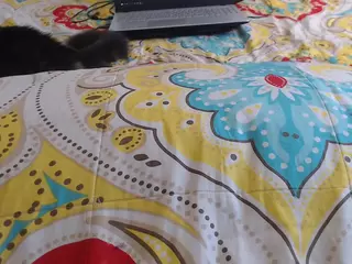 mollyandbrad's Live Sex Cam Show