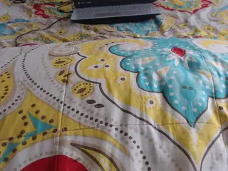 mollyandbrad's Live Sex Cam Show
