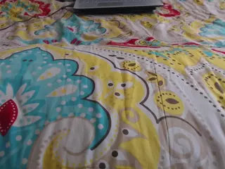 mollyandbrad's Live Sex Cam Show