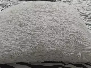 mollyandbrad's Live Sex Cam Show