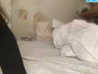Mistress Venus's Live Sex Cam Show