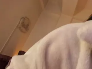 Dani's Live Sex Cam Show