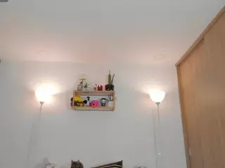 Dani Rouge's Live Sex Cam Show