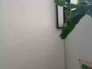 Dani Rouge's Live Sex Cam Show