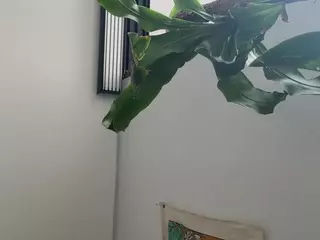 Dani Rouge's Live Sex Cam Show