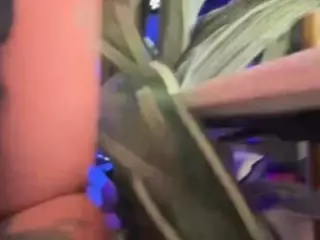 Dani Rouge's Live Sex Cam Show