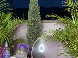 Dani Rouge's Live Sex Cam Show