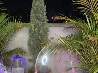 Dani Rouge's Live Sex Cam Show