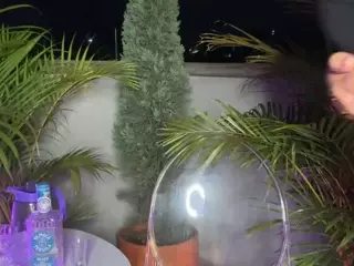 Dani Rouge's Live Sex Cam Show