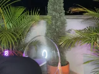 Dani Rouge's Live Sex Cam Show