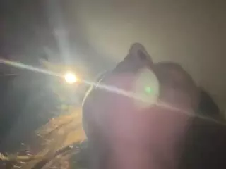 Dani Rouge's Live Sex Cam Show