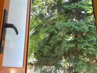 candyteen's Live Sex Cam Show