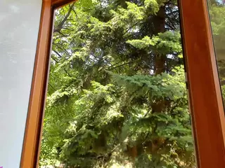 candyteen's Live Sex Cam Show