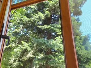 candyteen's Live Sex Cam Show