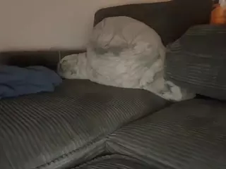 QueenSibaby's Live Sex Cam Show