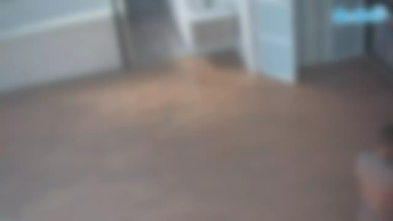 voyeurcam casa salsa panoramic's Live Sex Cam Show